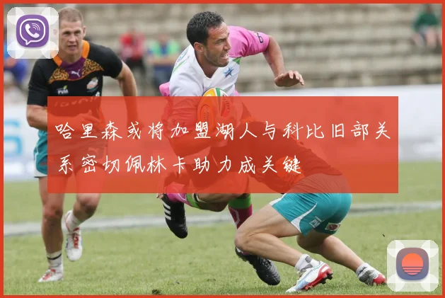 哈里森或将加盟湖人与科比旧部关系密切佩林卡助力成关键