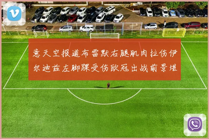 意天空报道布雷默右腿肌肉拉伤伊尔迪兹左脚踝受伤欧冠出战前景堪忧