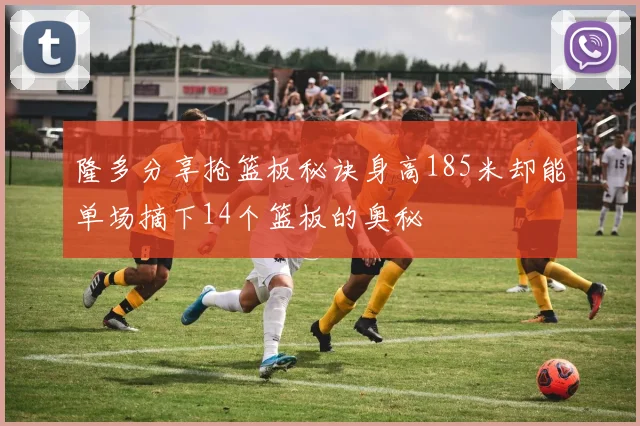 隆多分享抢篮板秘诀身高185米却能单场摘下14个篮板的奥秘