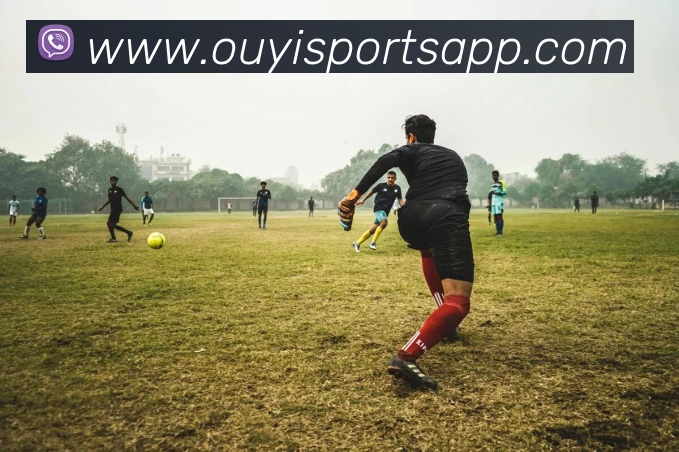 欧亿体育平台生态图