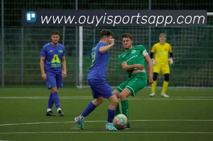 欧亿体育APP 封面图